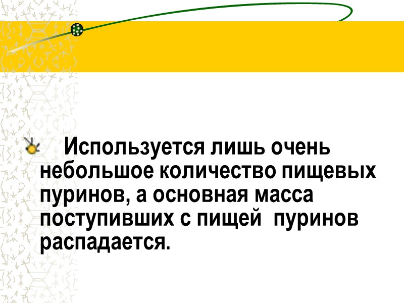 Используется лишь очень небольшое количество пищевых пуринов, а основная масса поступивших с пищей 
